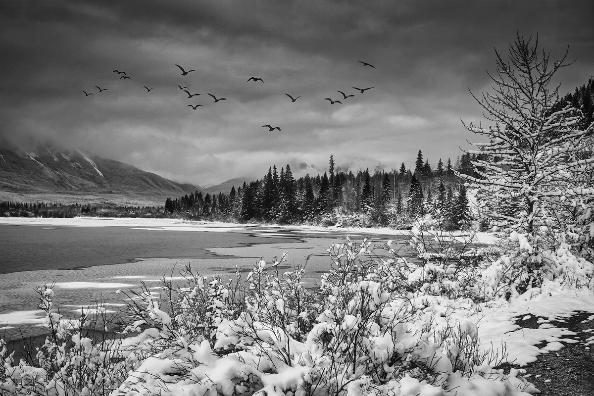 Winter Flight over Banff, Canada jpeg